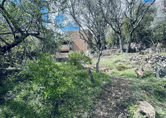 Feriehus Tiny House En Lisiere De Foret