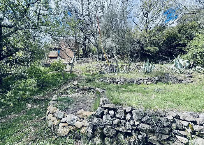 Tiny House En Lisiere De Foret * Les Mages